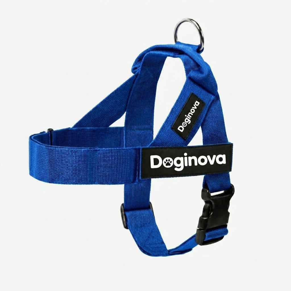 Doginova™ | Arnés Antitirones para perros