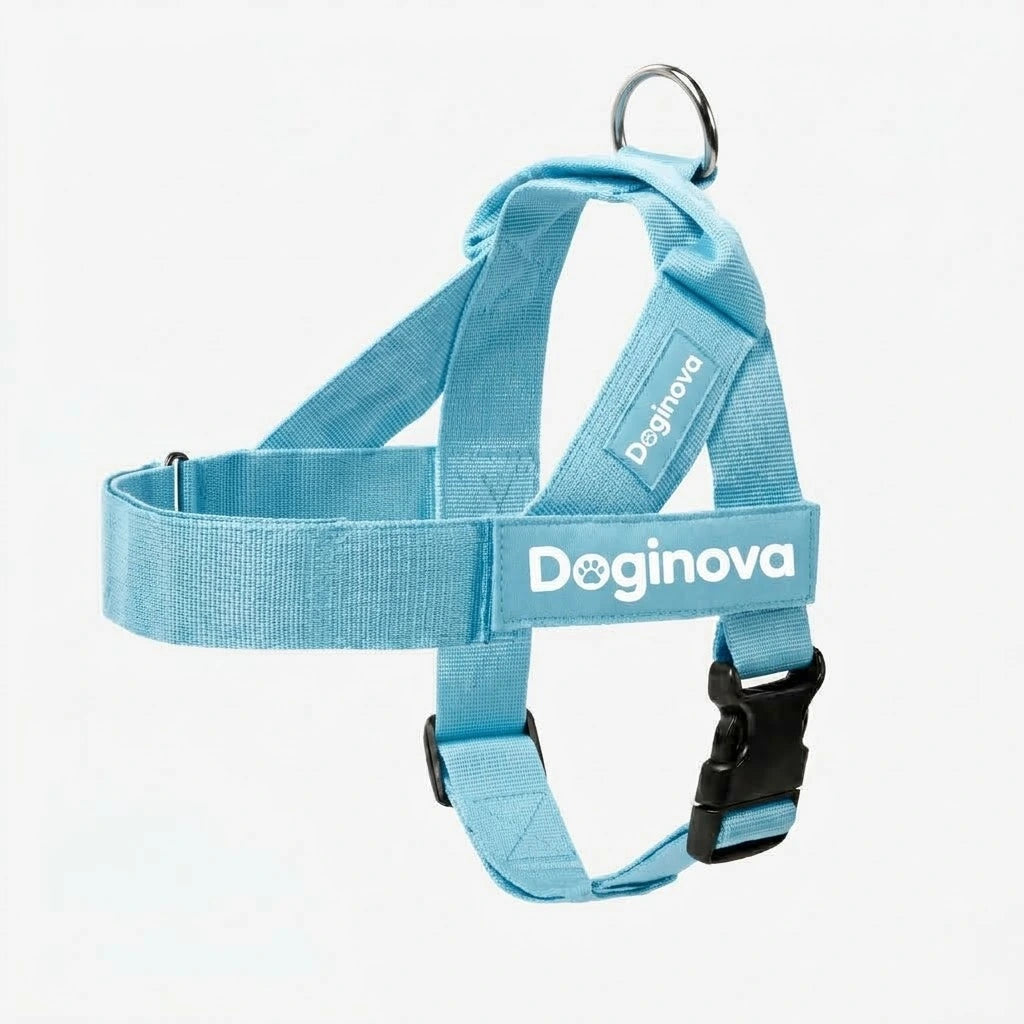 Doginova™ | Arnés Antitirones para perros