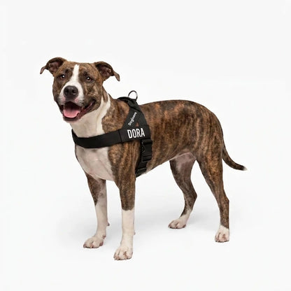 Doginova™ | Arnés Antitirones para perros