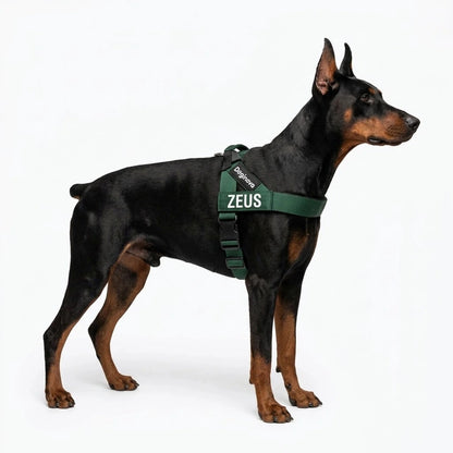 Doginova™ | Arnés Antitirones para perros