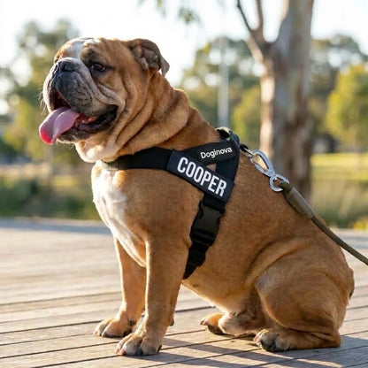 Doginova™ | Arnés Antitirones para perros
